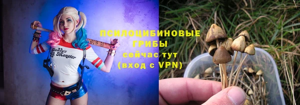 spice Алзамай