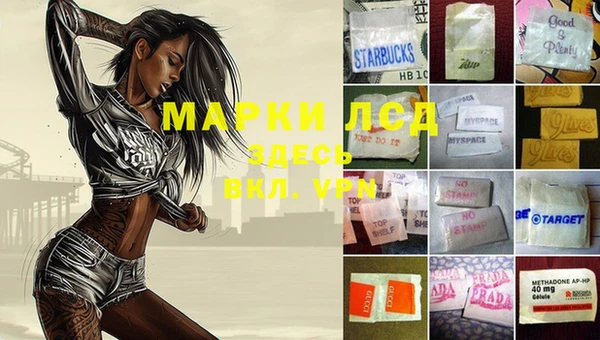 spice Алзамай