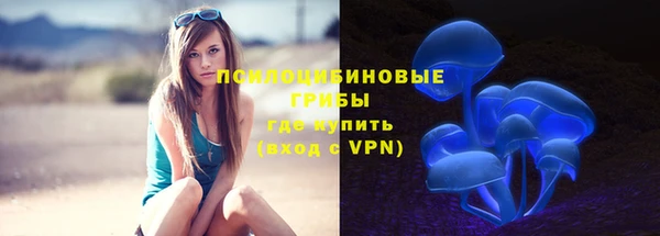 spice Алзамай