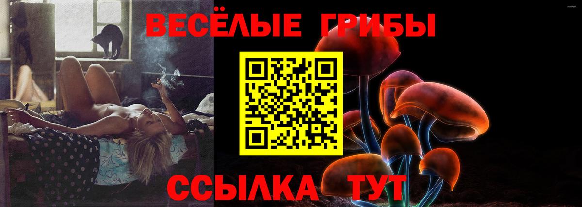 Галлюциногенные грибы Magic Shrooms  Вход с VPN  Галлюциногенные грибы прущие грибы  Лесной 